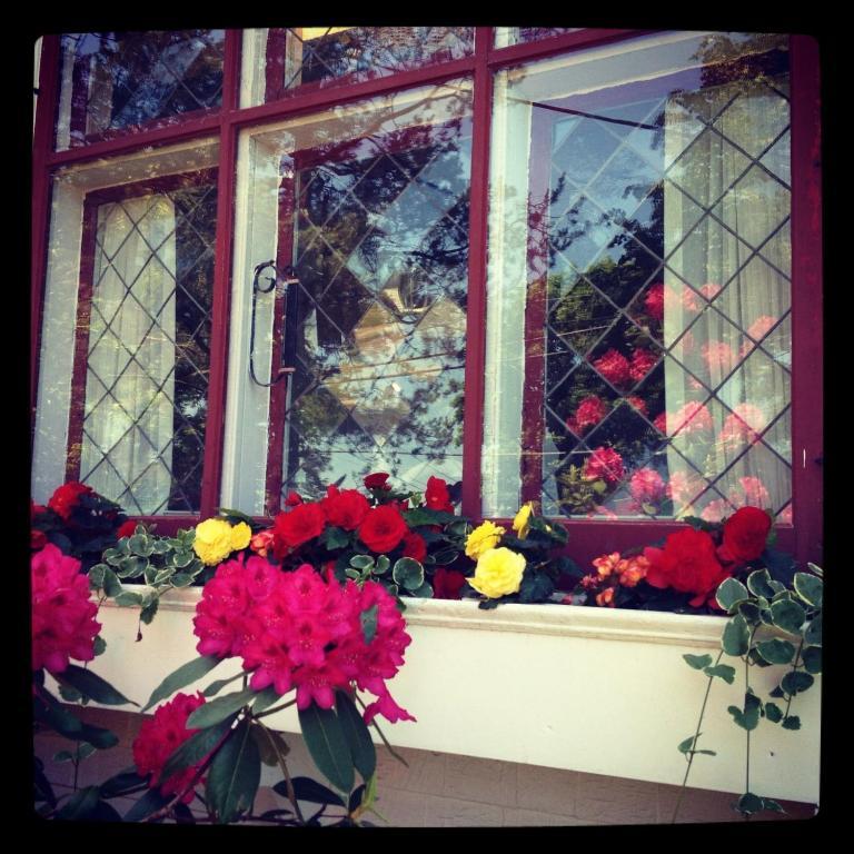 Belgravia B&B Truro Kültér fotó